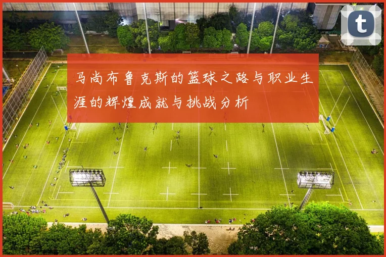 马尚布鲁克斯的篮球之路与职业生涯的辉煌成就与挑战分析