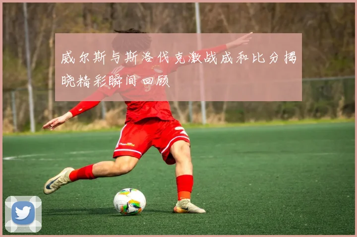 威尔斯与斯洛伐克激战成和比分揭晓精彩瞬间回顾