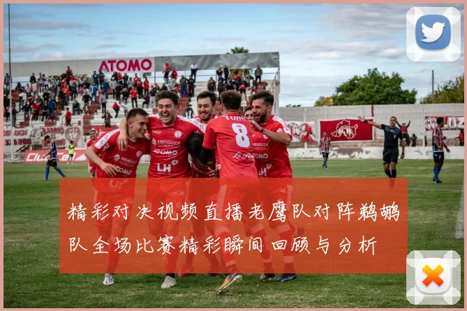 精彩对决视频直播老鹰队对阵鹈鹕队全场比赛精彩瞬间回顾与分析