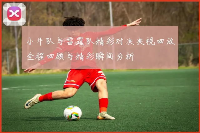 小牛队与雷霆队精彩对决央视回放全程回顾与精彩瞬间分析