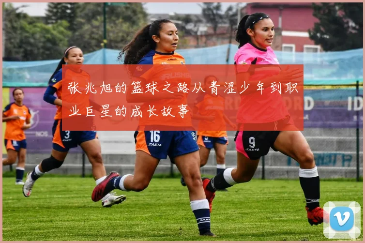 张兆旭的篮球之路从青涩少年到职业巨星的成长故事