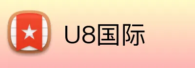 U8国际 Logo